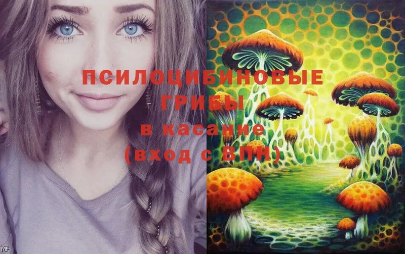 MEGA рабочий сайт  Куртамыш  Галлюциногенные грибы MAGIC MUSHROOMS  продажа наркотиков 